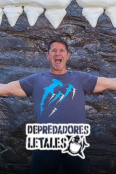 Depredadores letales