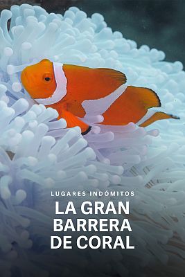 Lugares indómitos. La gran barrera de coral