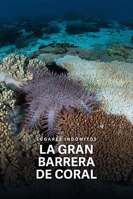 Lugares indómitos. La gran barrera de coral