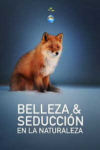 Belleza y seducción en la naturaleza