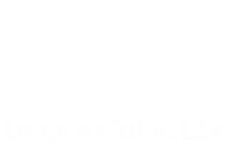 Belleza y seducción en la naturaleza