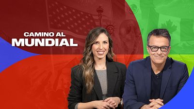 Camino al mundial