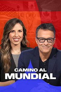 Camino al mundial