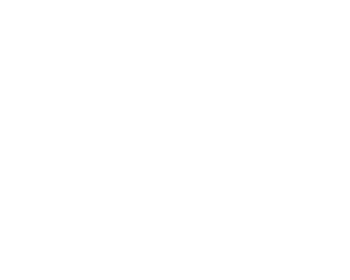 Las cuatro esquinas del plato