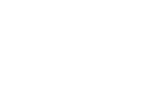 Los invasores