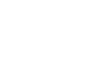 Los invasores