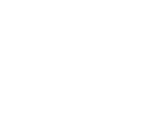 Sagrada Familia. 100 años después de Gaudí
