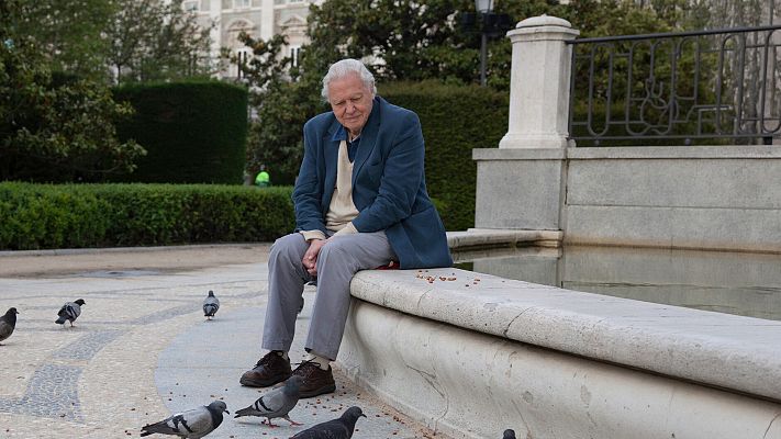 Curiosidades naturales de David Attenborough