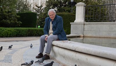 Curiosidades naturales de David Attenborough