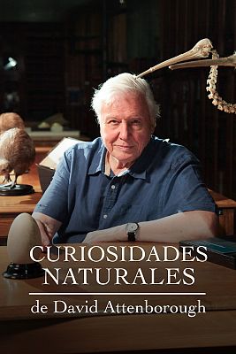 Curiosidades naturales de David Attenborough