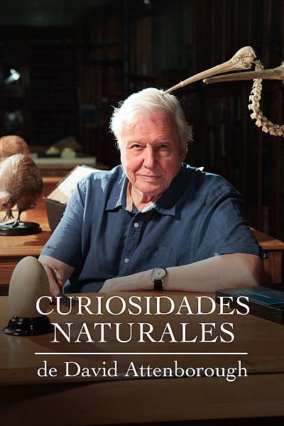 Curiosidades naturales de David Attenborough