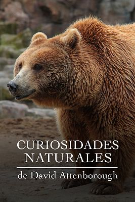 Curiosidades naturales de David Attenborough