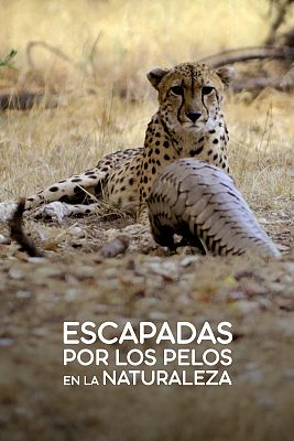 Escapadas por los pelos en la naturaleza
