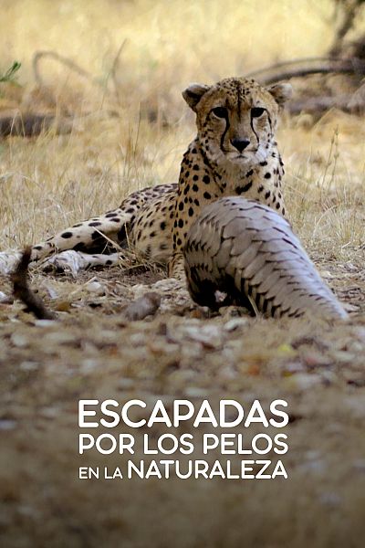 Escapadas por los pelos en la naturaleza