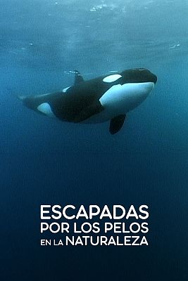 Escapadas por los pelos en la naturaleza