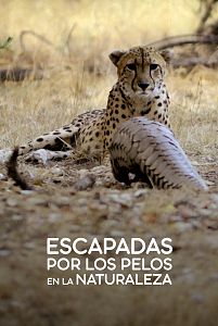 Escapadas por los pelos en la naturaleza