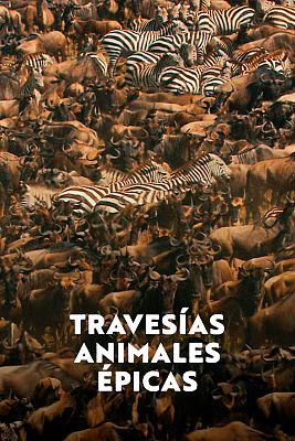Travesías animales épicas
