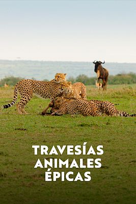 Travesías animales épicas