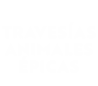 Travesías animales épicas
