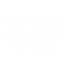 Travesías animales épicas