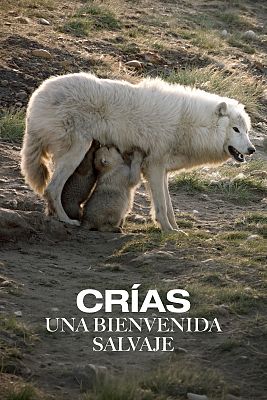 Crías. Una bienvenida salvaje