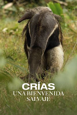 Crías. Una bienvenida salvaje