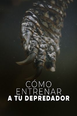 Cómo entrenar a tu depredador