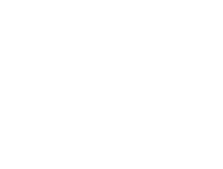 Los nuevos conquistadores
