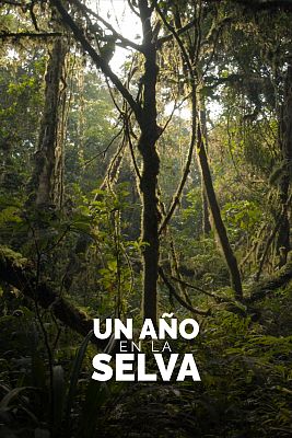 Un año en la selva
