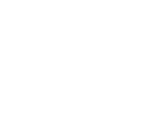 Camino a Nueva York