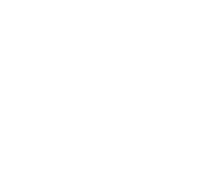 Los animales más salvajes del planeta