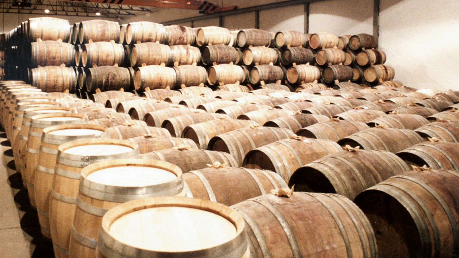 Protagonista el vino - Las cofradías del vino - Protagonista el vino | Ver