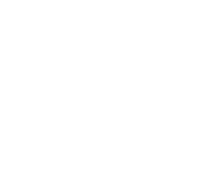 Estupido Cupido