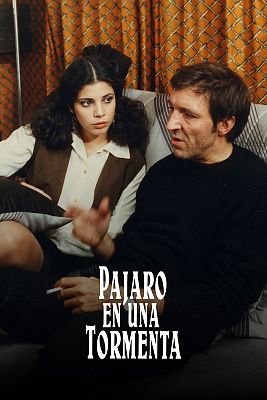 Pájaro en una tormenta