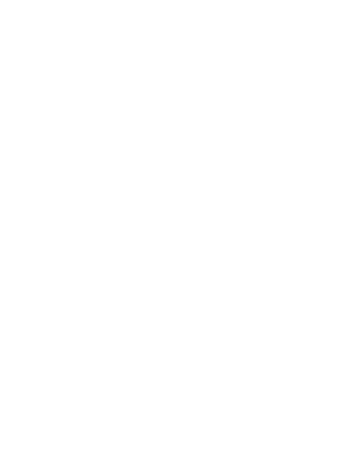 Pájaro en una tormenta