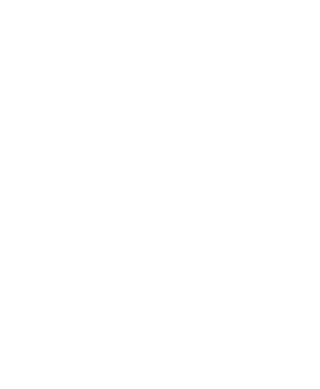 Sin Plan