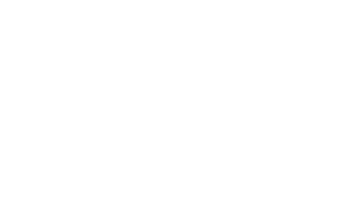 Viejas tierras, voces nuevas