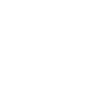 Puño Dragón y Baloncesto