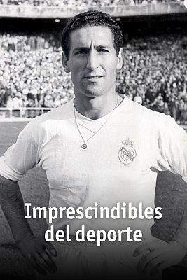 Imprescindibles del deporte