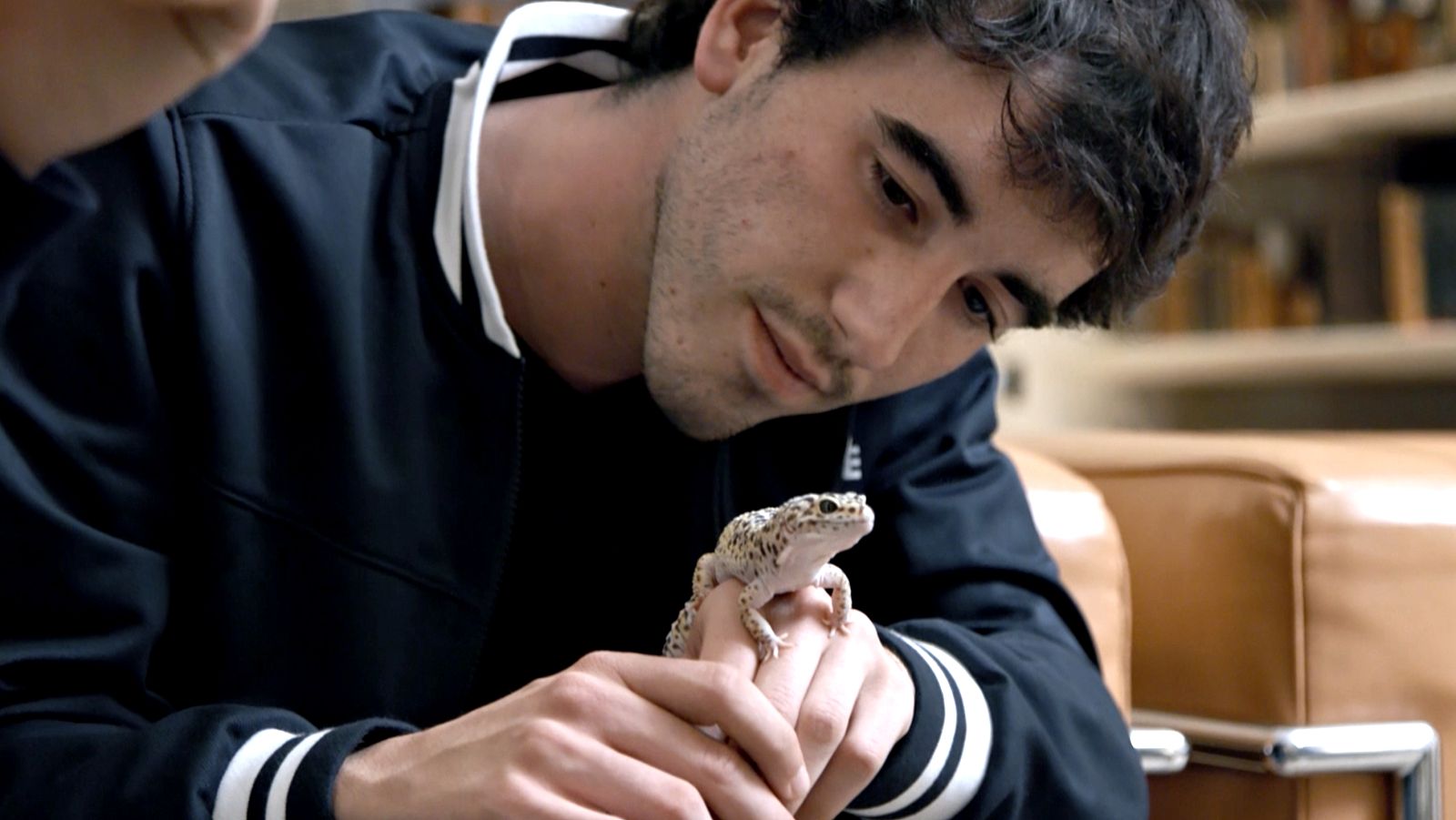 La meva mascota i jo - Ens ajudes a trobar la mascota més divertida de Catalunya?