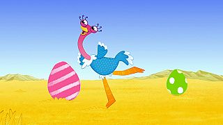 Olive la pequeña avestruz