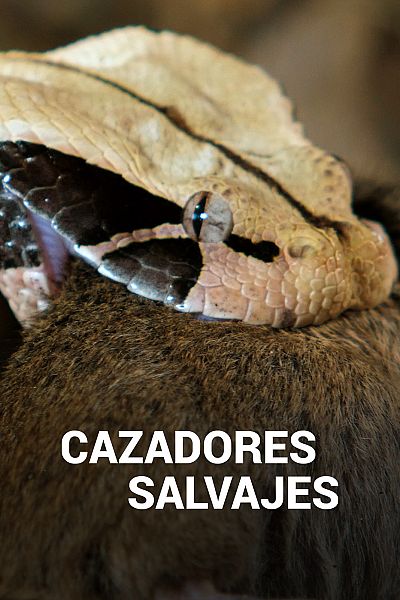 Cazadores salvajes