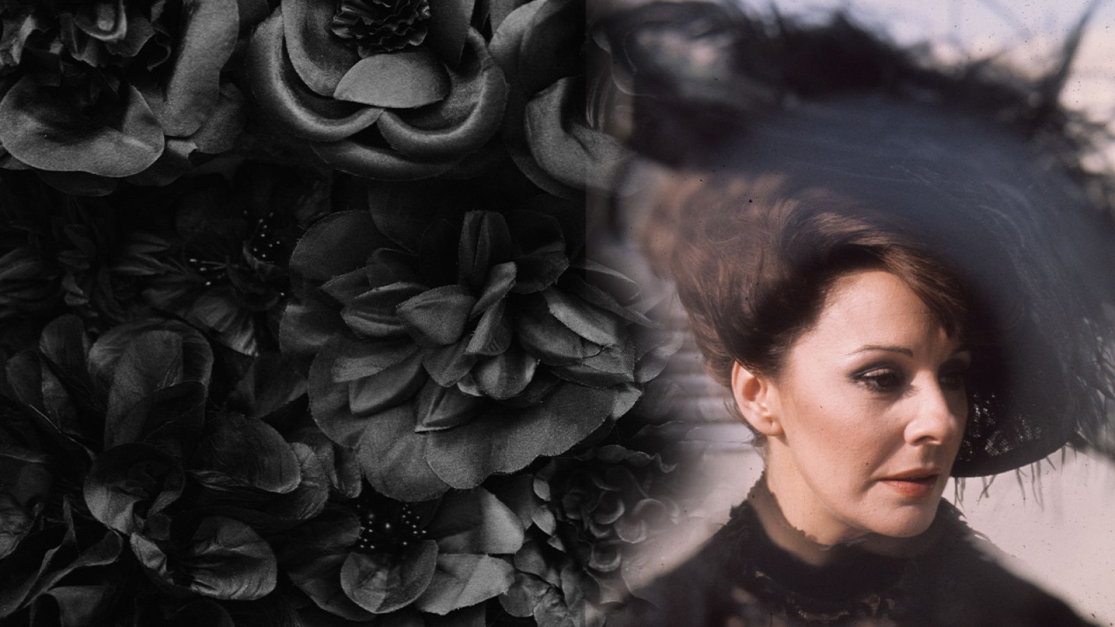 Las viudas - Viuda futura - Las viudas | Ver