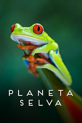 Planeta selva