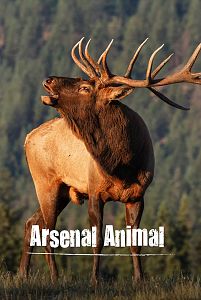 Arsenal animal
