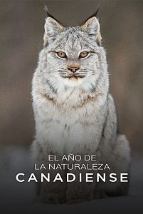 El año de la naturaleza canadiense