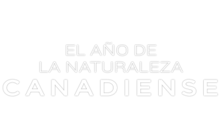 El año de la naturaleza canadiense