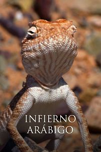 Infierno arábigo