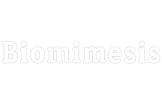 Biomimesis