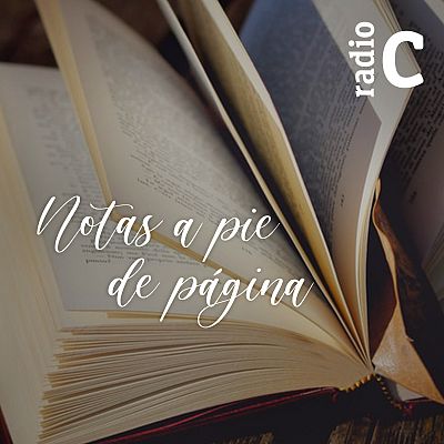 Notas a pie de página